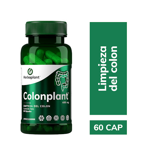 Producto -                         