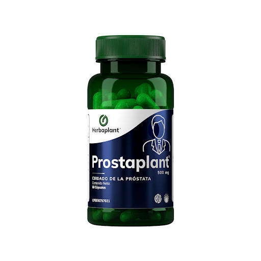 Producto -                         