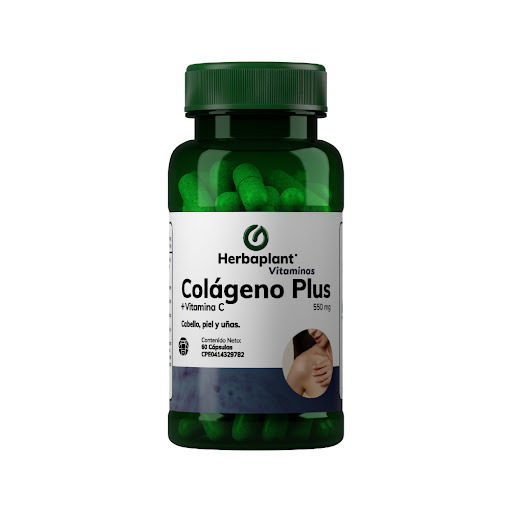 Producto -                         