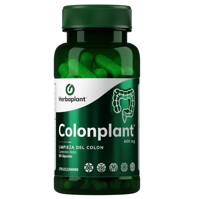 Producto -                         