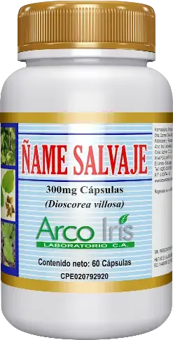 Producto -                         